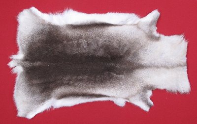 Picture of this lot Tanned Caribou Reindeer Hides, Scandinavian