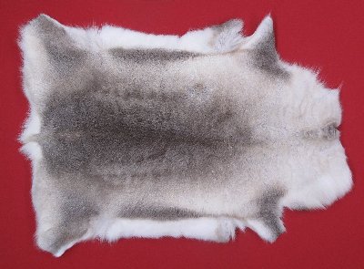Picture of this lot Tanned Caribou Reindeer Hides, Scandinavian