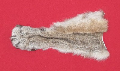 Picture of this lot Tanned Cougar Mountain Lion Heads, Feet, Tails, Pieces