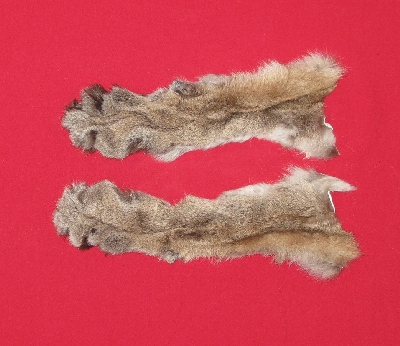 Picture of this lot Tanned Cougar Mountain Lion Heads, Feet, Tails, Pieces