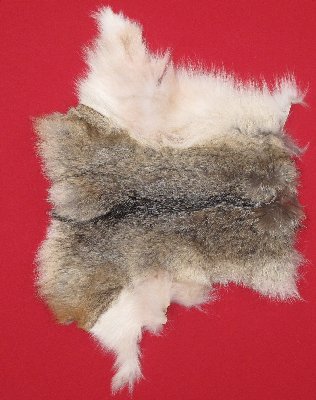 Picture of this lot Tanned Coyote Hides, Pelts, Skins