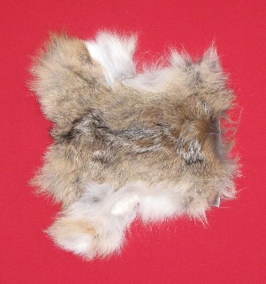 Picture of this lot Tanned Coyote Hides, Pelts, Skins