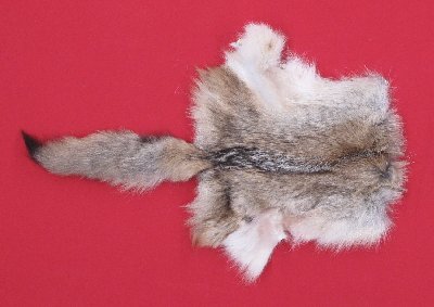 Picture of this lot Tanned Coyote Hides, Pelts, Skins