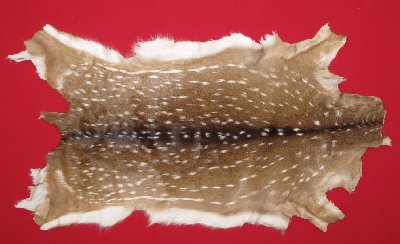 Picture of this lot Tanned Axis Deer Hides, Furs, Pelts, Skins
