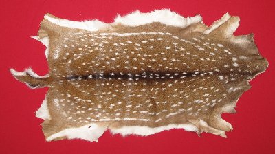 Picture of this lot Tanned Axis Deer Hides, Furs, Pelts, Skins