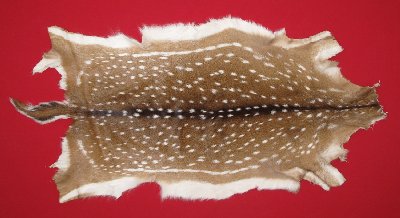 Picture of this lot Tanned Axis Deer Hides, Furs, Pelts, Skins