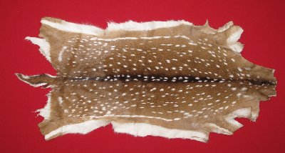 Picture of this lot Tanned Axis Deer Hides, Furs, Pelts, Skins