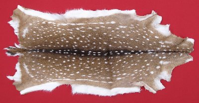 Picture of this lot Tanned Axis Deer Hides, Furs, Pelts, Skins