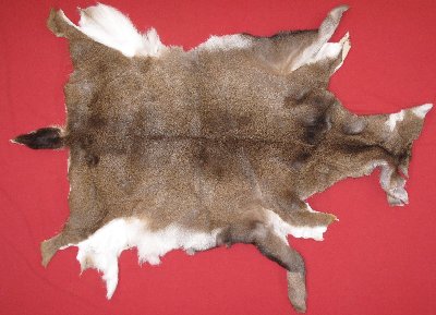 Picture of this lot Tanned Black Tail Deer Hides, Furs, Pelts, Skins
