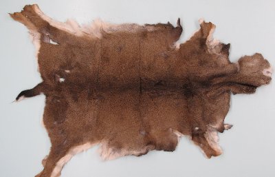 Picture of this lot Tanned Black Tail Deer Hides, Furs, Pelts, Skins