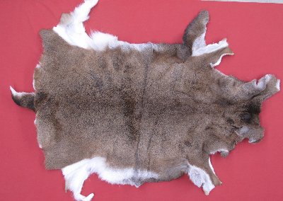 Picture of this lot Tanned Black Tail Deer Hides, Furs, Pelts, Skins