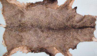Picture of this lot Tanned Mule Deer Hides, Furs, Pelts, Skins