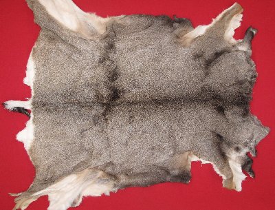 Picture of this lot Tanned Mule Deer Hides, Furs, Pelts, Skins