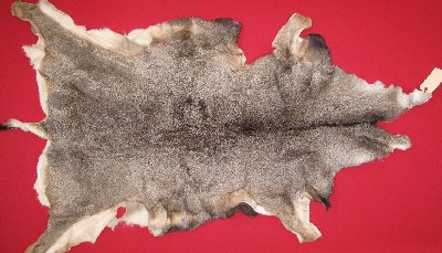Picture of this lot Tanned Mule Deer Hides, Furs, Pelts, Skins