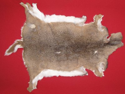 Picture of this lot Tanned White Tail Deer Hides, Furs, Pelts, Skins