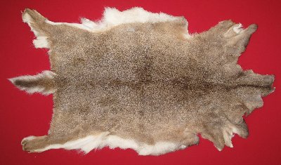 Picture of this lot Tanned White Tail Deer Hides, Furs, Pelts, Skins