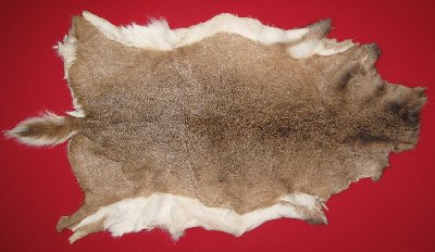 Picture of this lot Tanned White Tail Deer Hides, Furs, Pelts, Skins