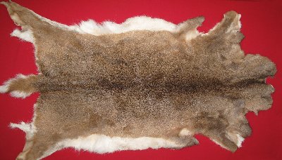 Picture of this lot Tanned White Tail Deer Hides, Furs, Pelts, Skins