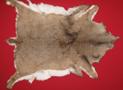 Picture of this lot Tanned White Tail Deer Hides, Furs, Pelts, Skins