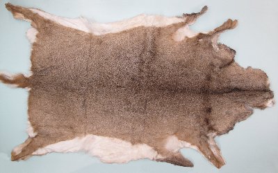 Picture of this lot Tanned White Tail Deer Hides, Furs, Pelts, Skins