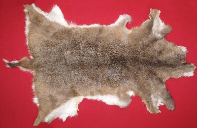 Picture of this lot Tanned White Tail Deer Hides, Furs, Pelts, Skins