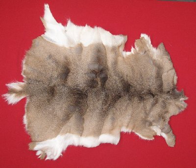 Picture of this lot Tanned White Tail Deer Hides, Furs, Pelts, Skins