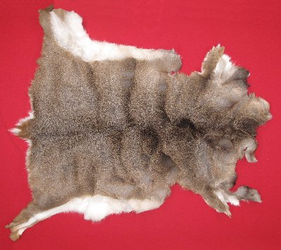Picture of this lot Tanned White Tail Deer Hides, Furs, Pelts, Skins