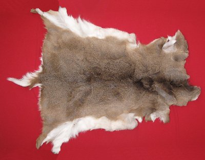 Picture of this lot Tanned White Tail Deer Hides, Furs, Pelts, Skins