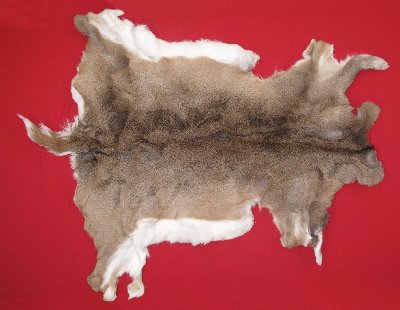 Picture of this lot Tanned White Tail Deer Hides, Furs, Pelts, Skins