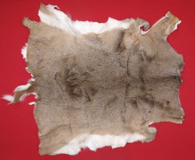 Picture of this lot Tanned White Tail Deer Hides, Furs, Pelts, Skins
