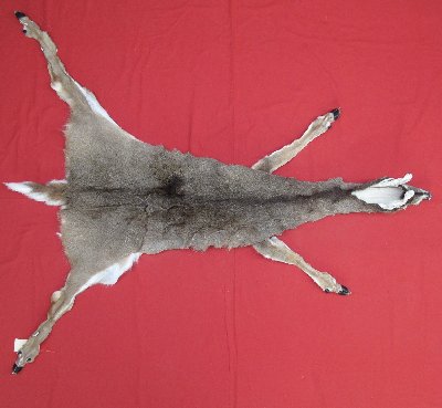Picture of this lot Tanned White Tail Deer Hides, Furs, Pelts, Skins