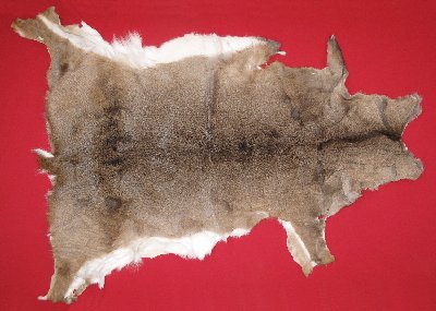 Picture of this lot Tanned White Tail Deer Hides, Furs, Pelts, Skins