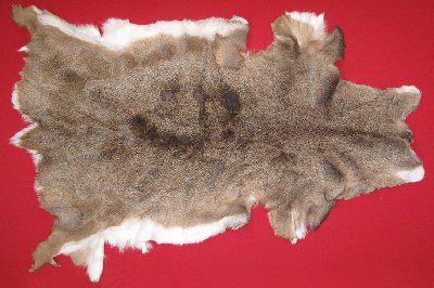 Picture of this lot Tanned White Tail Deer Hides, Furs, Pelts, Skins