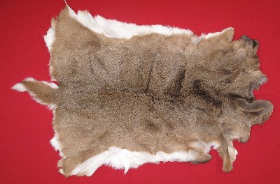 Picture of this lot Tanned White Tail Deer Hides, Furs, Pelts, Skins