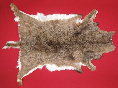 Picture of this lot Tanned White Tail Deer Hides, Furs, Pelts, Skins