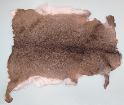Picture of this lot Tanned White Tail Deer Hides, Furs, Pelts, Skins