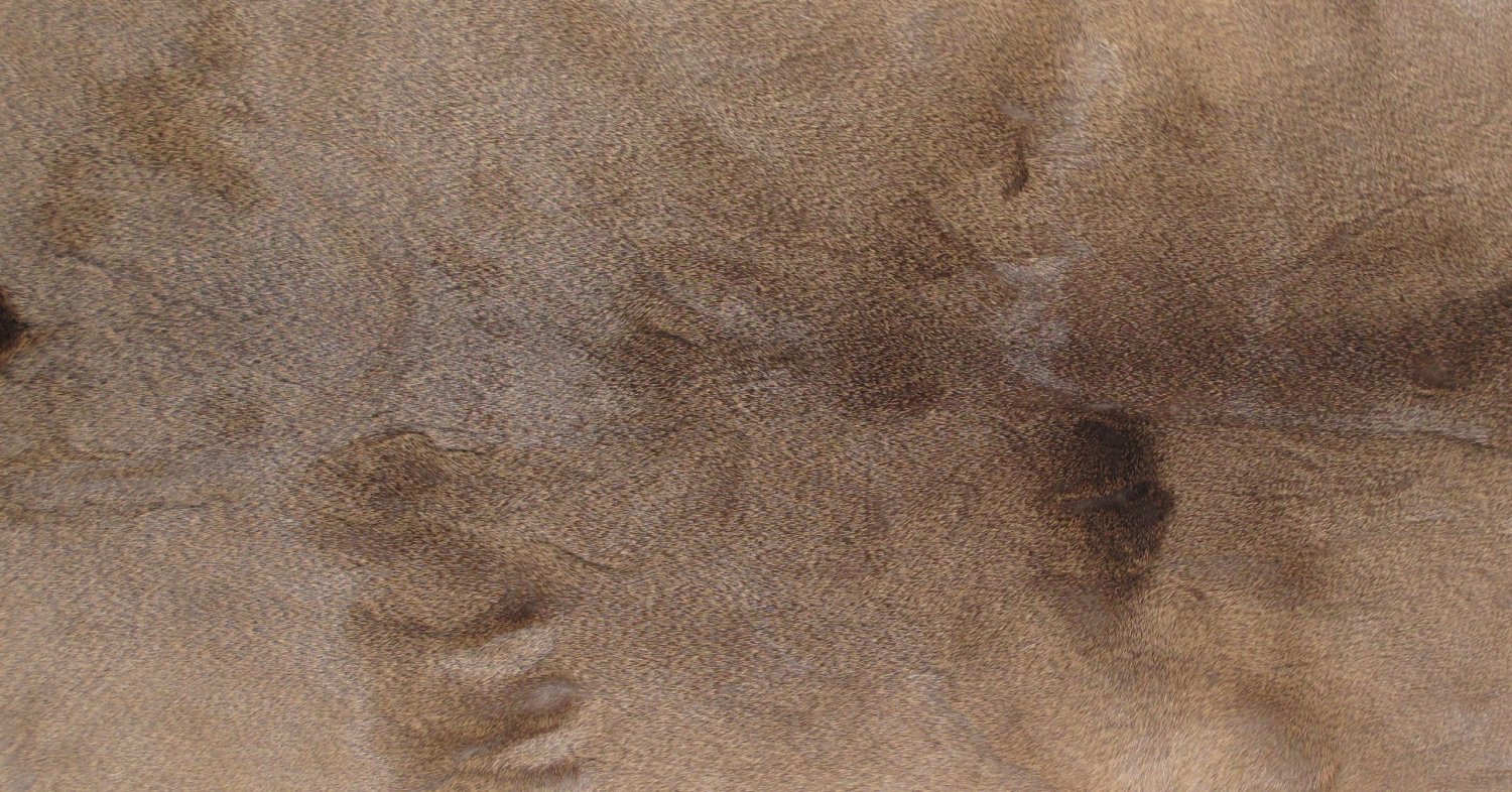tanned-furs-white-tail-deer-hides-6392-9515-hideandfur