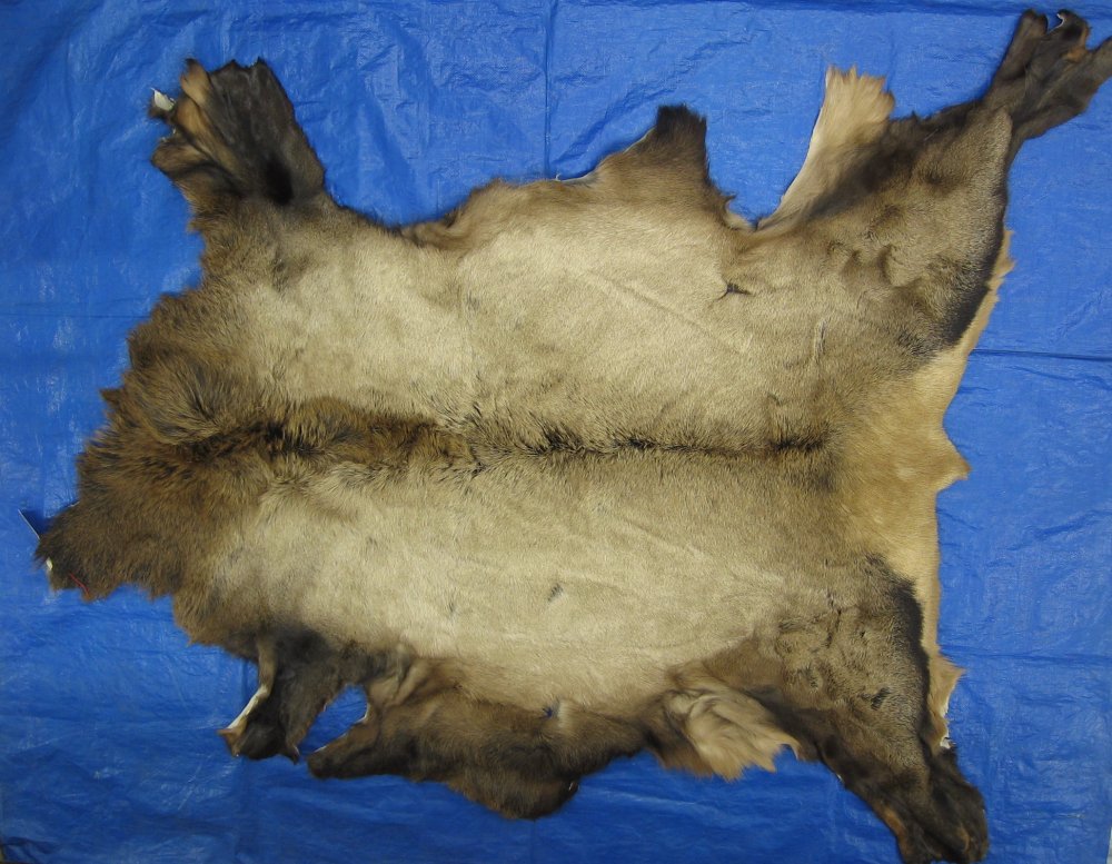 Tanned Furs ELK HIDES (64120263)