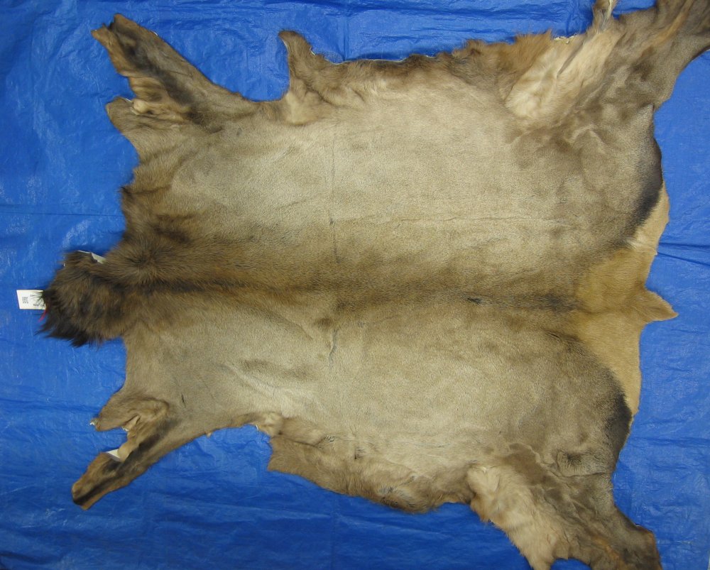 Tanned Furs ELK HIDES (64120266)