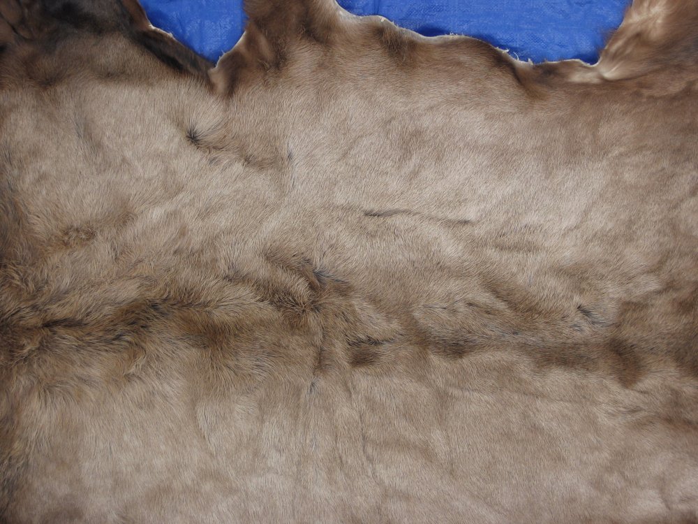 Tanned Furs ELK HIDES (64120269)