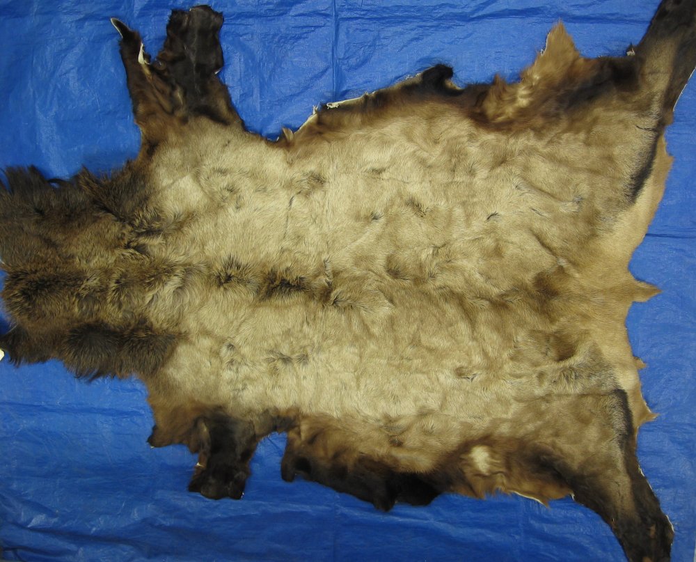 Tanned Furs ELK HIDES (64120271)