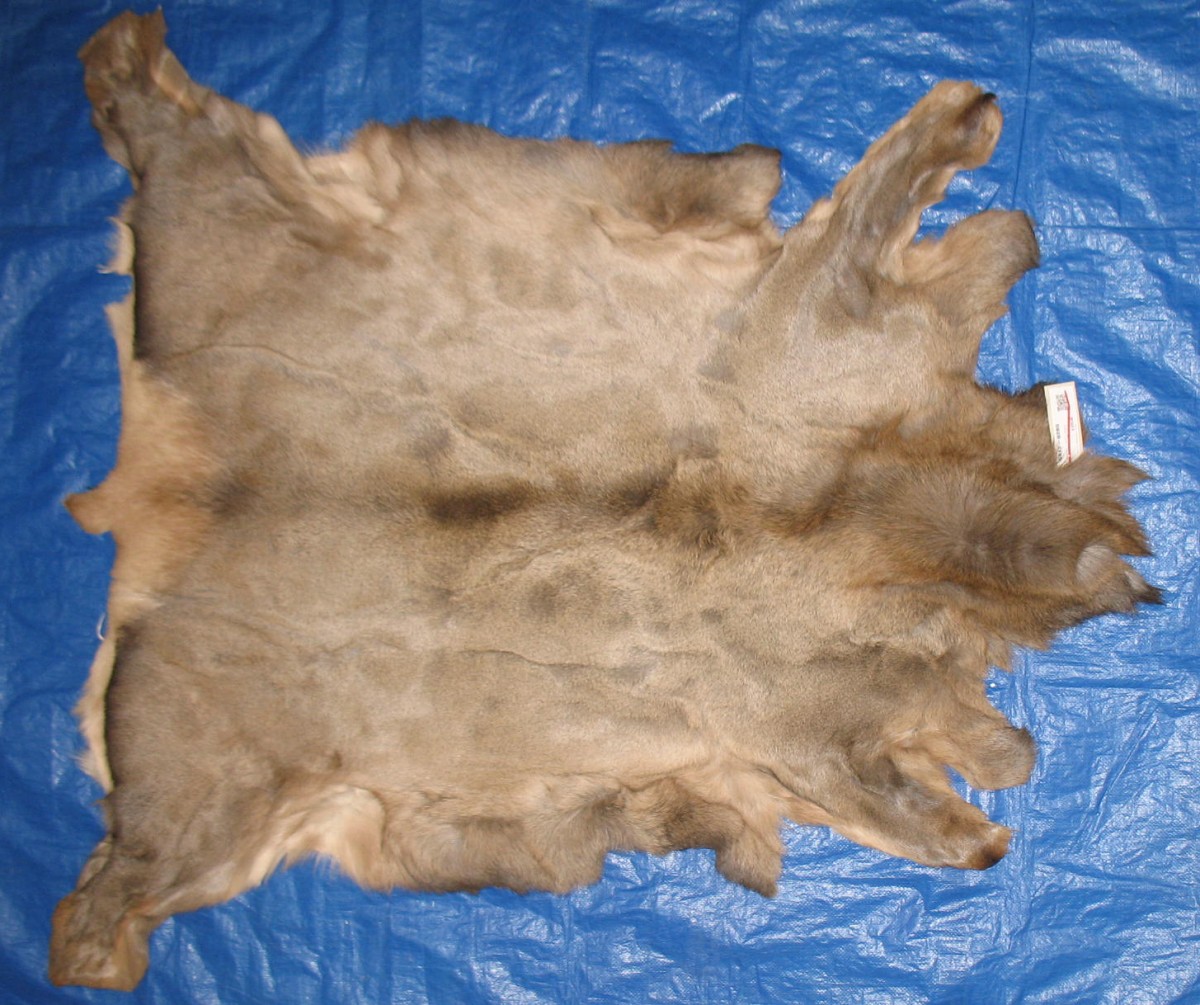 Tanned Furs ELK HIDES (64120285)