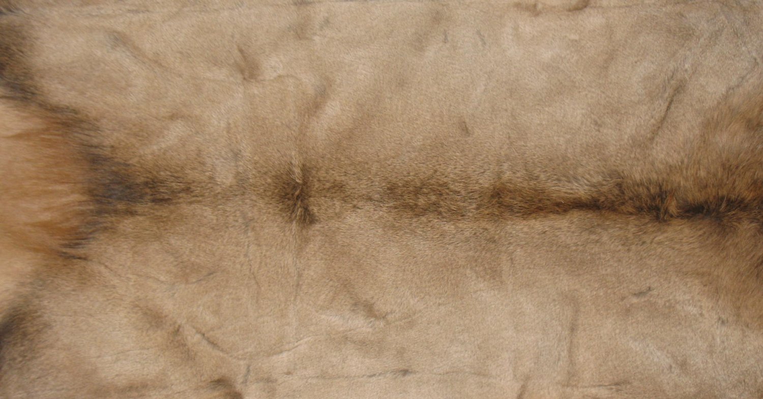 Tanned Furs ELK HIDES (64120312)