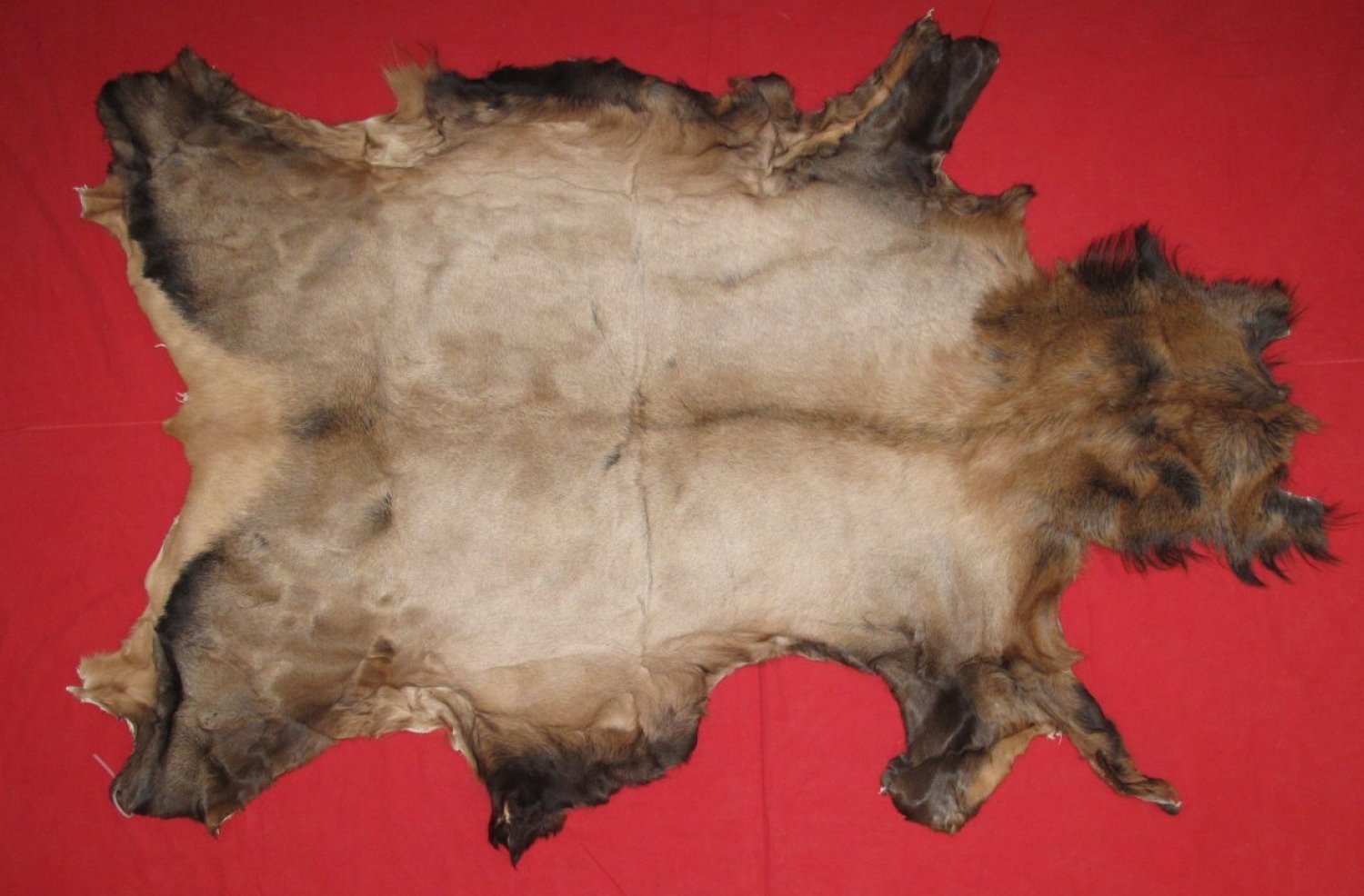 Tanned Furs ELK HIDES (64120425)
