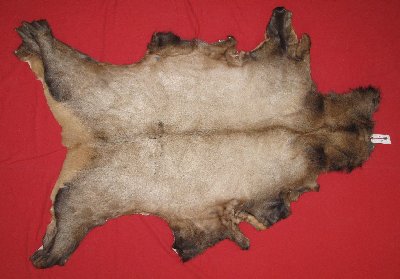 Picture of this lot Tanned Elk Hides, Furs, Pelts, Skins