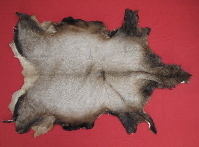 Picture of this lot Tanned Elk Hides, Furs, Pelts, Skins