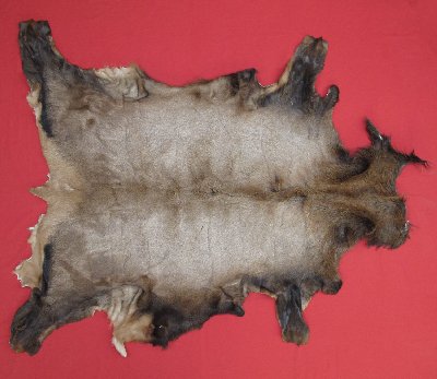 Picture of this lot Tanned Elk Hides, Furs, Pelts, Skins