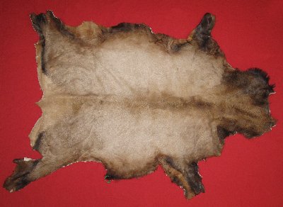 Picture of this lot Tanned Elk Hides, Furs, Pelts, Skins