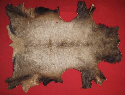 Picture of this lot Tanned Elk Hides, Furs, Pelts, Skins