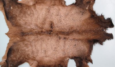 Picture of this lot Tanned Elk Hides, Furs, Pelts, Skins